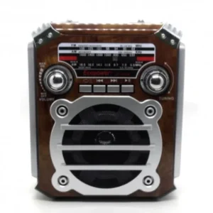 RADIO ECOPOWER EP-F91B